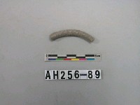 藏品(灰色泥質陶環殘件)的圖片